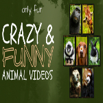 funny videos for kids entertainment