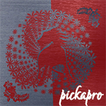 Come make a store with pickapro