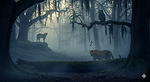 Savanna Stories