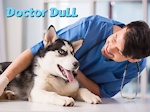 DoctorDuLLITL