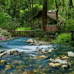 Nature Sounds