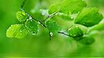 Nature is always showing hidden Beauty