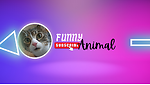 Funny animals