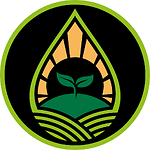 Limitless Growth Co