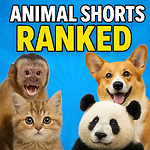 Ranking Best Animal Shorts