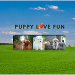 Puppy Love Fun