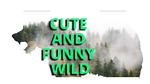 CUTEFUNNYWILD