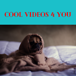 Cool Videos 4 You