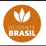 Vídeos de pensadores da civilização ocidental