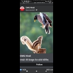 This channel is funny cuteness comedy animal or Kids Funny & comedy