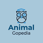 AnimalGopedia