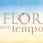 Flor Sem Tempo