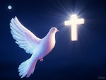 Signal Of Heaven