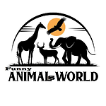 Funny Animals World