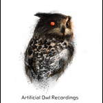 Artificial Owl Recordings