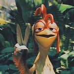 TomFoe