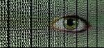 Fraud & Corruption UK