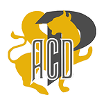 The American Cover Design PW Rugs Channel