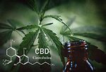 CBD Insights