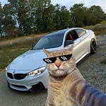 SR Cat's & Animal