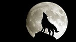 TheWolfofManila