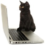 Digitalcat