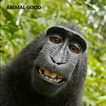 Animal Good