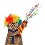 Funny Cats