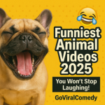 Go Viral Comedy