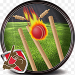 Cricket Videos
