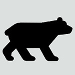 Black Bear News