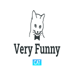 Very Funny cat