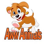 LOVE ANIMALS