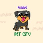 Funny Pet City