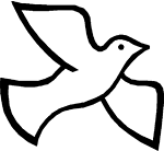 pigeon my passion
