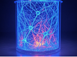 Neural Lantern