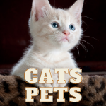 DISCOVER PETS NATURE