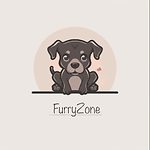 FuryyZone: Where Energy Meets Adventure