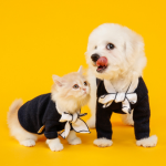 Funniest Animals