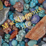 Miscellaneous Life