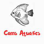 CamsAquatics