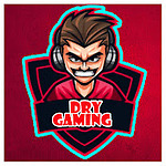 DRYGAMING