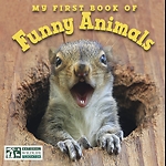 funny animals