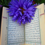 Holy Quran Book"