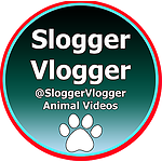 SloggerVloggerShorts