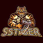 SS TiGER