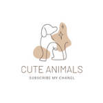 Cute Animals