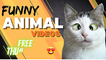FUNNY VIDEOS