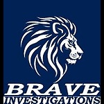 Brave Investigations