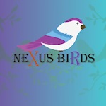 Nexusbirds